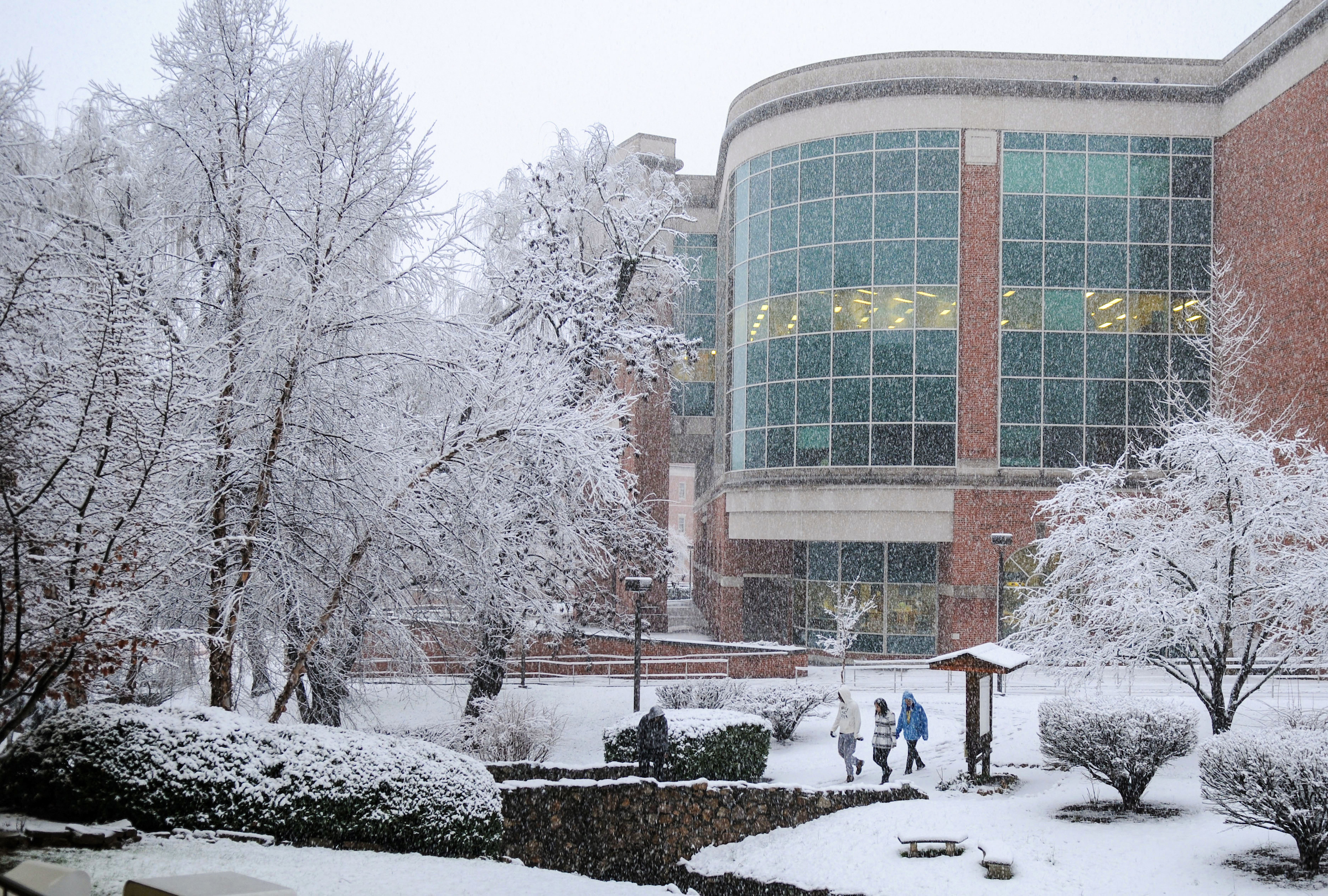 Winter scene outside of Sherrod Library